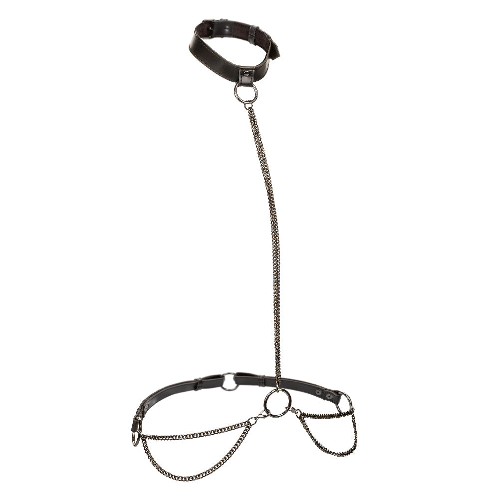 "Euphoria Collection Chain Halter/collar and Leash - Black SE3101003"